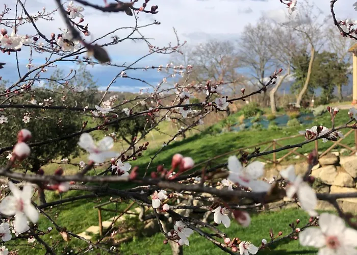 Casale Santomanno Casa vacanze *
