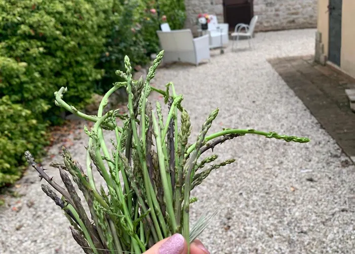 Casale Santomanno Casa vacanze *